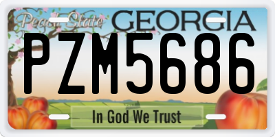 GA license plate PZM5686