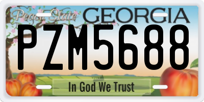 GA license plate PZM5688