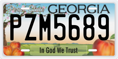 GA license plate PZM5689