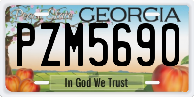 GA license plate PZM5690
