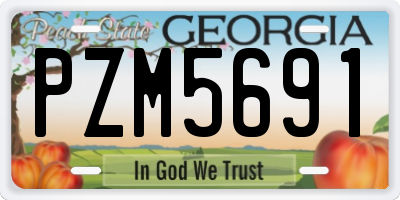 GA license plate PZM5691