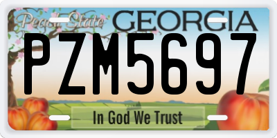 GA license plate PZM5697
