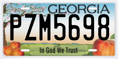 GA license plate PZM5698