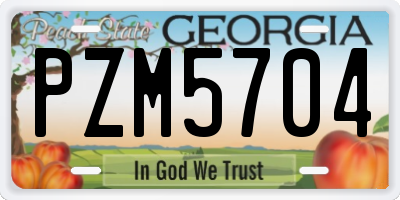 GA license plate PZM5704