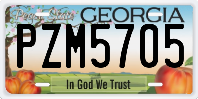 GA license plate PZM5705