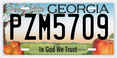 GA license plate PZM5709
