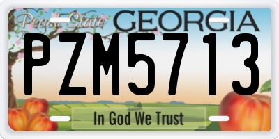 GA license plate PZM5713