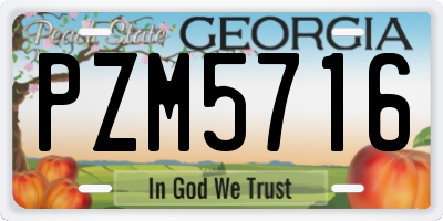 GA license plate PZM5716
