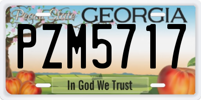 GA license plate PZM5717