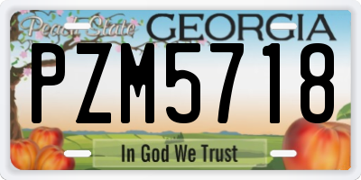 GA license plate PZM5718