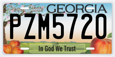 GA license plate PZM5720