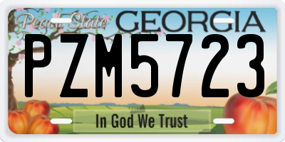 GA license plate PZM5723