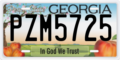 GA license plate PZM5725