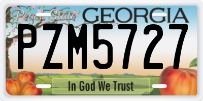 GA license plate PZM5727
