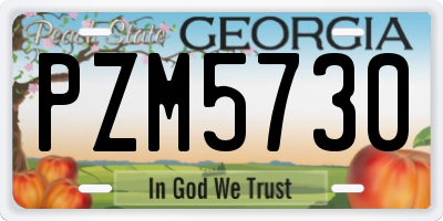 GA license plate PZM5730