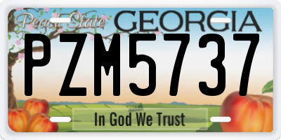 GA license plate PZM5737