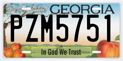 GA license plate PZM5751