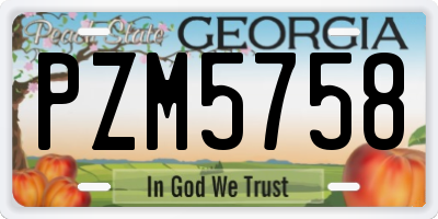 GA license plate PZM5758