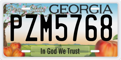 GA license plate PZM5768