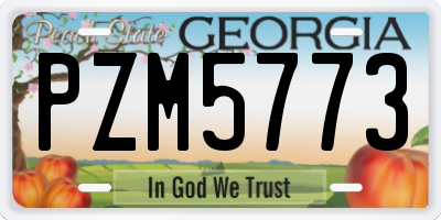 GA license plate PZM5773