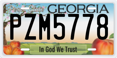 GA license plate PZM5778
