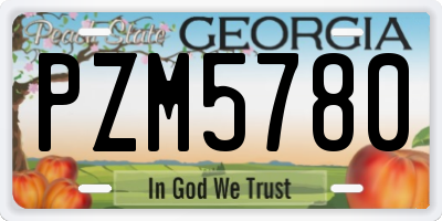 GA license plate PZM5780