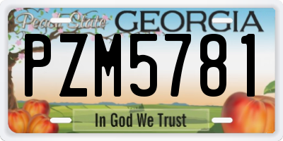GA license plate PZM5781