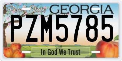 GA license plate PZM5785