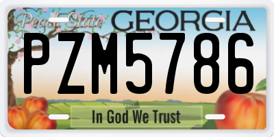 GA license plate PZM5786