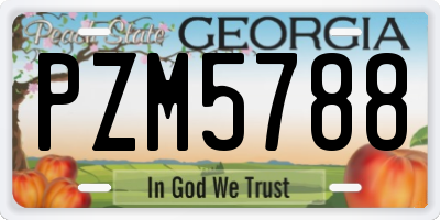 GA license plate PZM5788