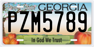 GA license plate PZM5789