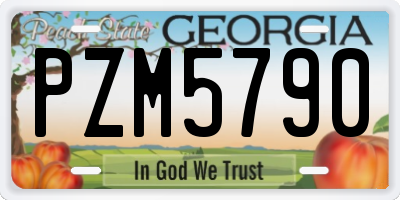 GA license plate PZM5790