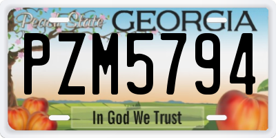 GA license plate PZM5794