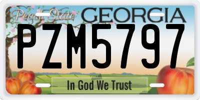 GA license plate PZM5797