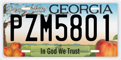 GA license plate PZM5801