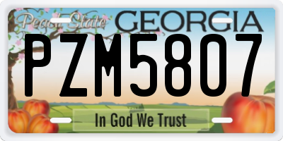GA license plate PZM5807