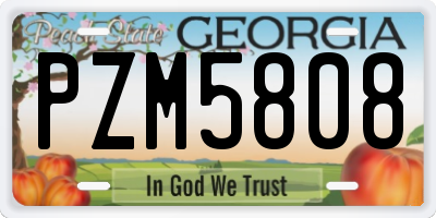 GA license plate PZM5808