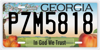 GA license plate PZM5818