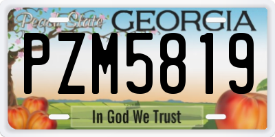 GA license plate PZM5819