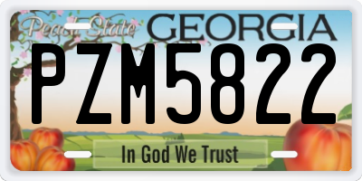 GA license plate PZM5822