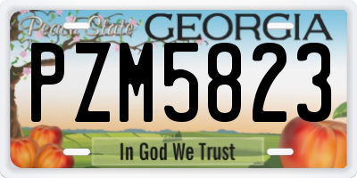 GA license plate PZM5823