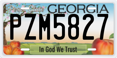 GA license plate PZM5827