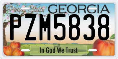 GA license plate PZM5838
