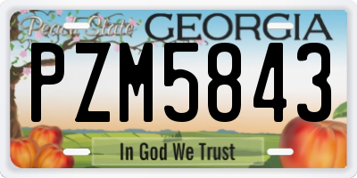 GA license plate PZM5843