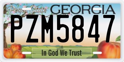 GA license plate PZM5847