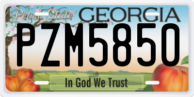 GA license plate PZM5850