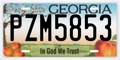 GA license plate PZM5853