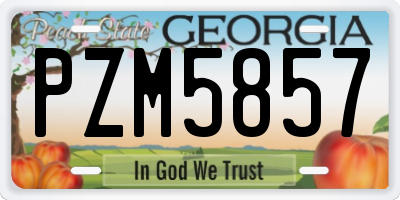 GA license plate PZM5857