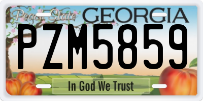 GA license plate PZM5859