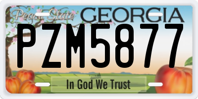 GA license plate PZM5877